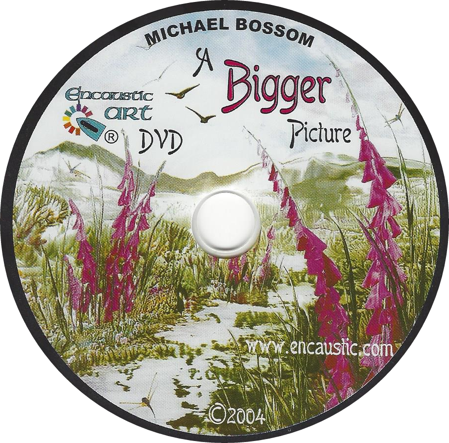 Bigger Picture DVD